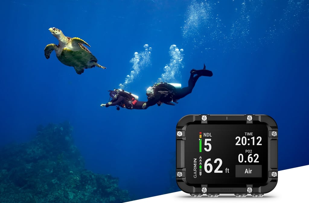 new Garmin Descent X30