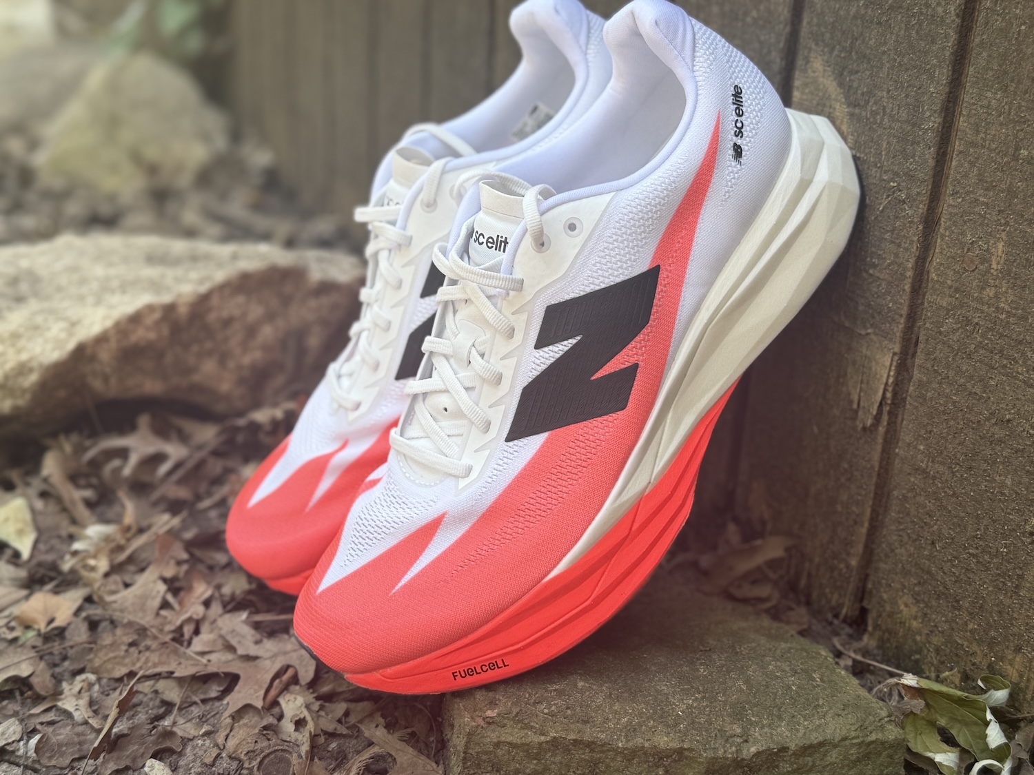 SCE 5 Review
