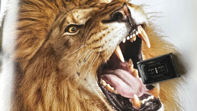 WHOOP 5.0 Review: Accuracy Tests, Strain Science & Is MG Worth the Subscription for Athletes? (Nov 2025)