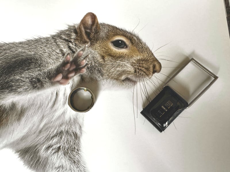 Whoop IPO and Glucose Monitoring Plans